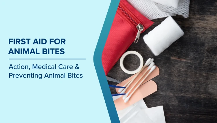 First Aid for Animal Bites: Action, Medical Care & Preventing Animal Bites